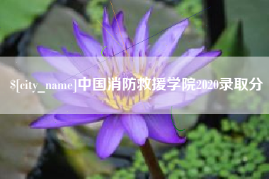 嵊州中国消防救援学院2020录取分