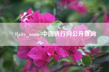 嵊州中国执行网公开查询