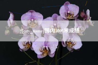 嵊州国内5000米成绩