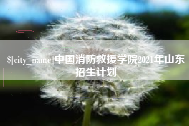 嵊州中国消防救援学院2021年山东招生计划