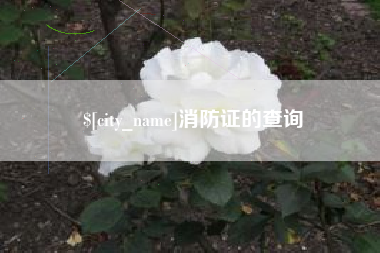 嵊州消防证的查询