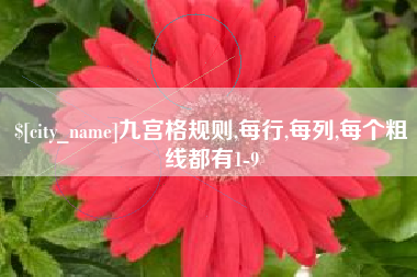 嵊州九宫格规则,每行,每列,每个粗线都有1-9
