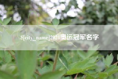 嵊州2024奥运冠军名字