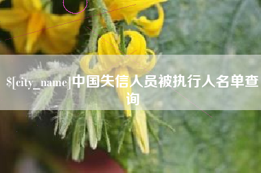 嵊州中国失信人员被执行人名单查询