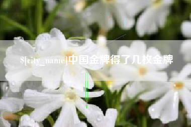 嵊州中国金牌得了几枚金牌