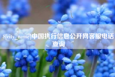 嵊州中国执行信息公开网客服电话查询