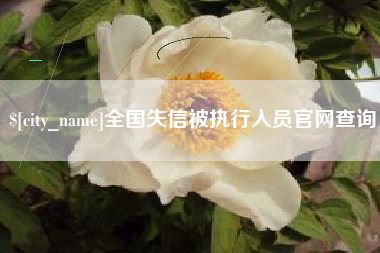 嵊州全国失信被执行人员官网查询