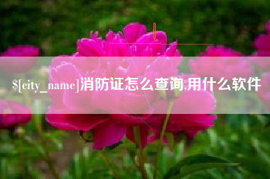嵊州消防证怎么查询,用什么软件