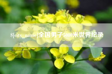 嵊州全国男子5000米世界纪录
