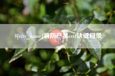 嵊州消防产品cccf认证目录
