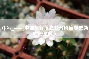 嵊州中国执行信息公开网信息更新时间是多久
