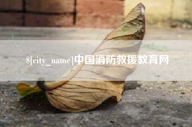 嵊州中国消防救援教育网