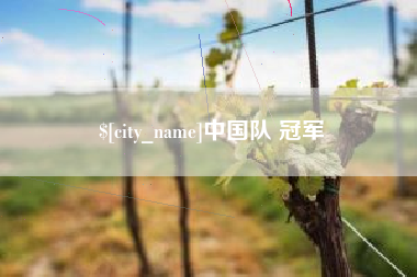 嵊州中国队 冠军