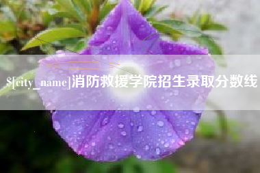 嵊州消防救援学院招生录取分数线