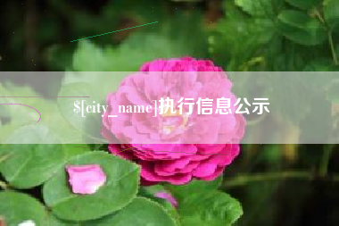 嵊州执行信息公示