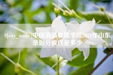 嵊州中国消防救援学院2021年山东录取分数线是多少