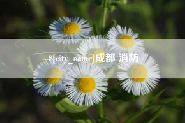 嵊州成都 消防