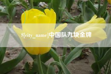 嵊州中国队九块金牌