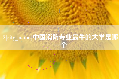 嵊州中国消防专业最牛的大学是哪一个
