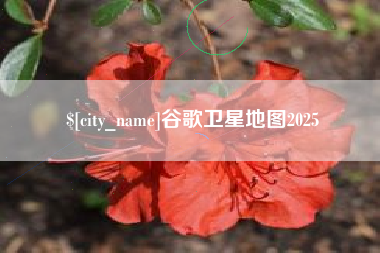 嵊州谷歌卫星地图2025