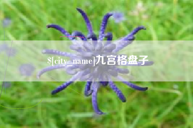 嵊州九宫格盘子
