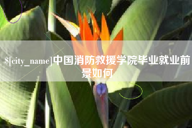 嵊州中国消防救援学院毕业就业前景如何