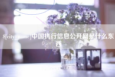 嵊州中国执行信息公开网是什么东西