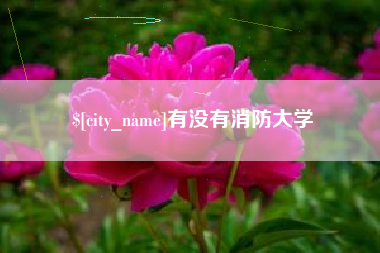 嵊州有没有消防大学