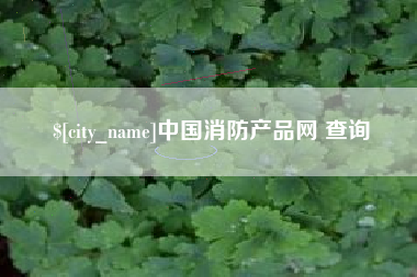 嵊州中国消防产品网 查询