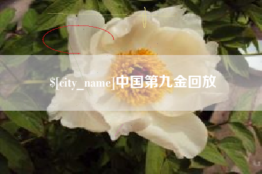 嵊州中国第九金回放
