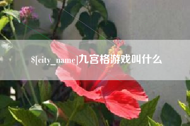 嵊州九宫格游戏叫什么