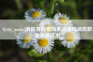 嵊州消防官网查询系统查询消防职业资格证书