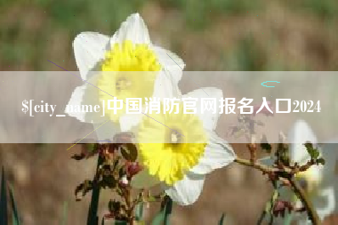 嵊州中国消防官网报名入口2024