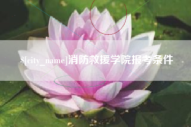 嵊州消防救援学院报考条件