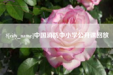 嵊州中国消防中小学公开课回放