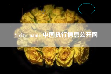 嵊州中国执行信息公开网