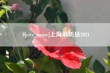 嵊州上海消防员2021