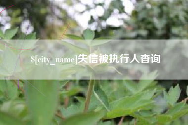 嵊州失信被执行人杳询
