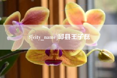 嵊州邱县王子磊