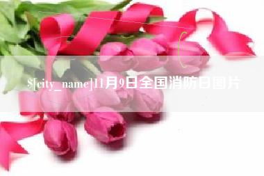 嵊州11月9日全国消防日图片