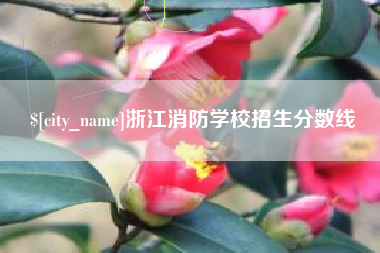 嵊州浙江消防学校招生分数线