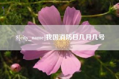 嵊州我国消防日几月几号