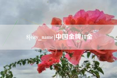 嵊州中国金牌18金