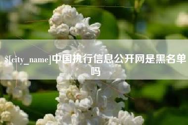 嵊州中国执行信息公开网是黑名单吗