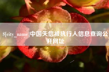 嵊州中国失信被执行人信息查询公开网址