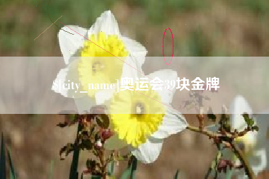 嵊州奥运会39块金牌