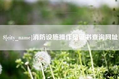 嵊州消防设施操作员证书查询网址
