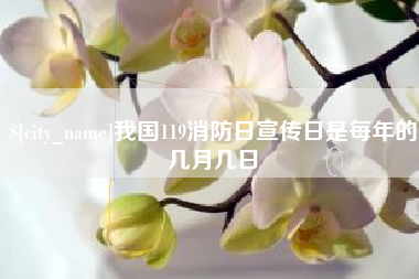 嵊州我国119消防日宣传日是每年的几月几日