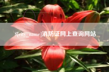 嵊州消防证网上查询网站