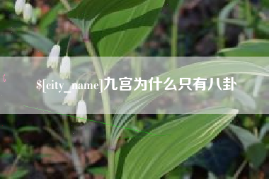 嵊州九宫为什么只有八卦